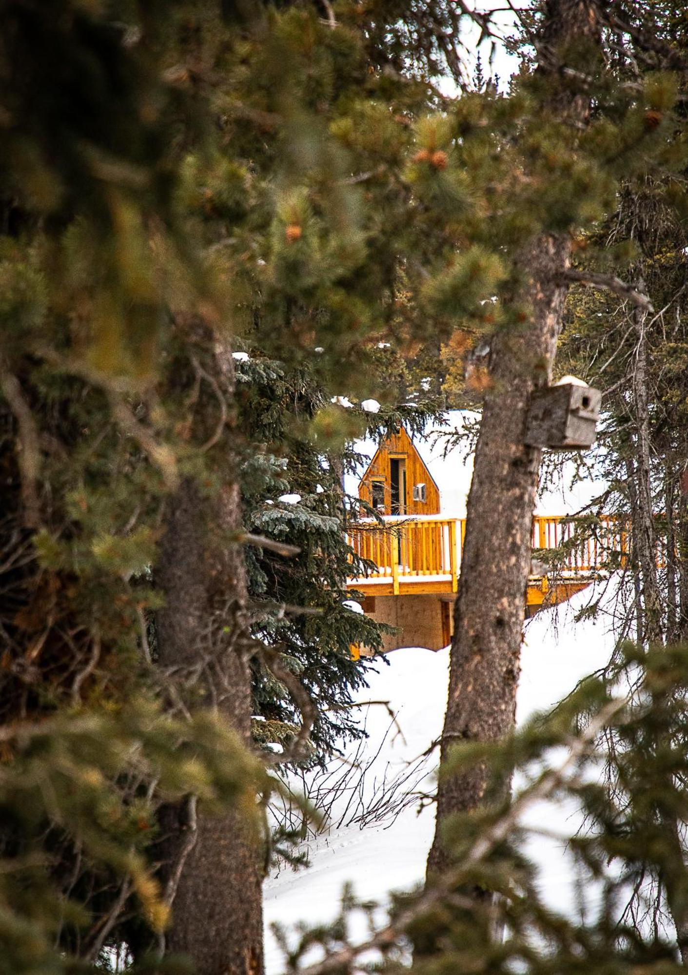 Mount Engadine Lodge Kananaskis Exteriör bild